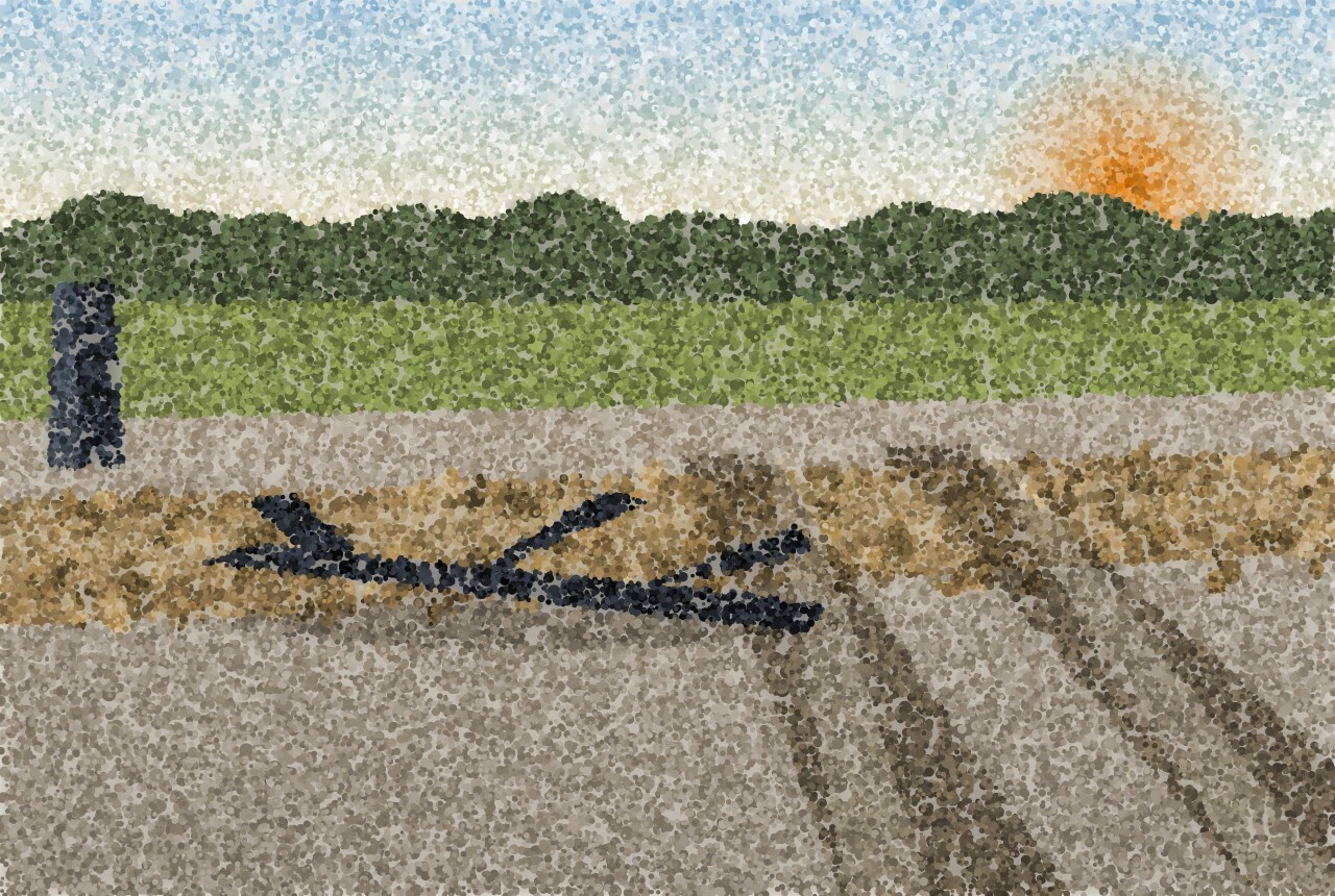 A band of silt left across a country road after the water went down, two tyre tracks cut through it and a branch lying on the line.