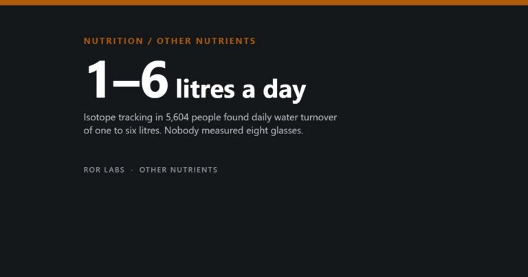 1–6 litres a day: measured daily water turnover across 5,604 people in 23 countries