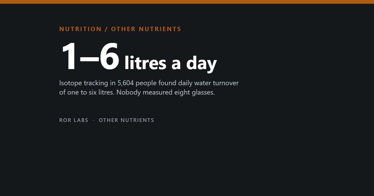 1–6 litres a day: measured daily water turnover across 5,604 people in 23 countries