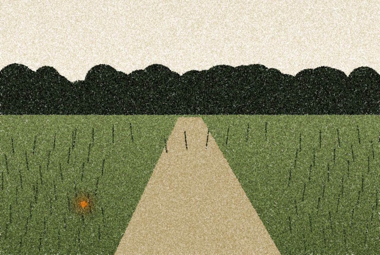 A pointillist illustration: a narrow path through tall grass towards a dark edge of woodland under a pale sky, with one small amber point of light low in the grass.