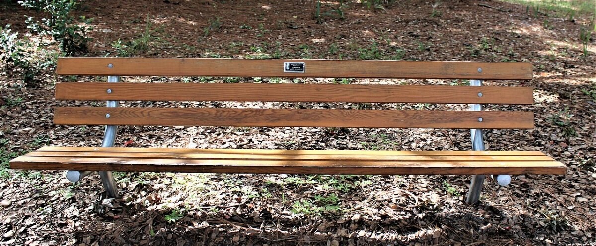 A park bench in John Taylor Park