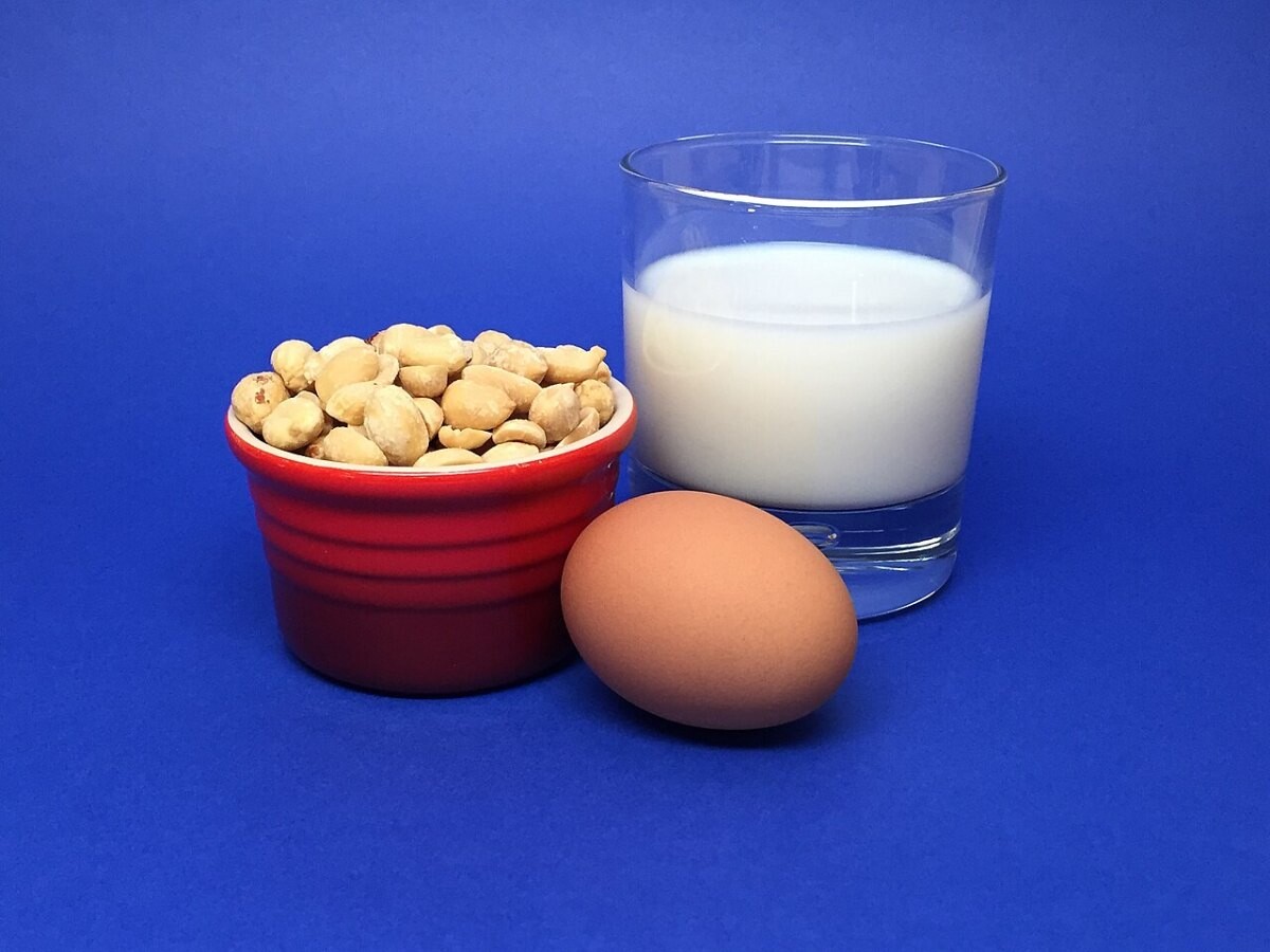 Peanuts, an egg and a glass of milk