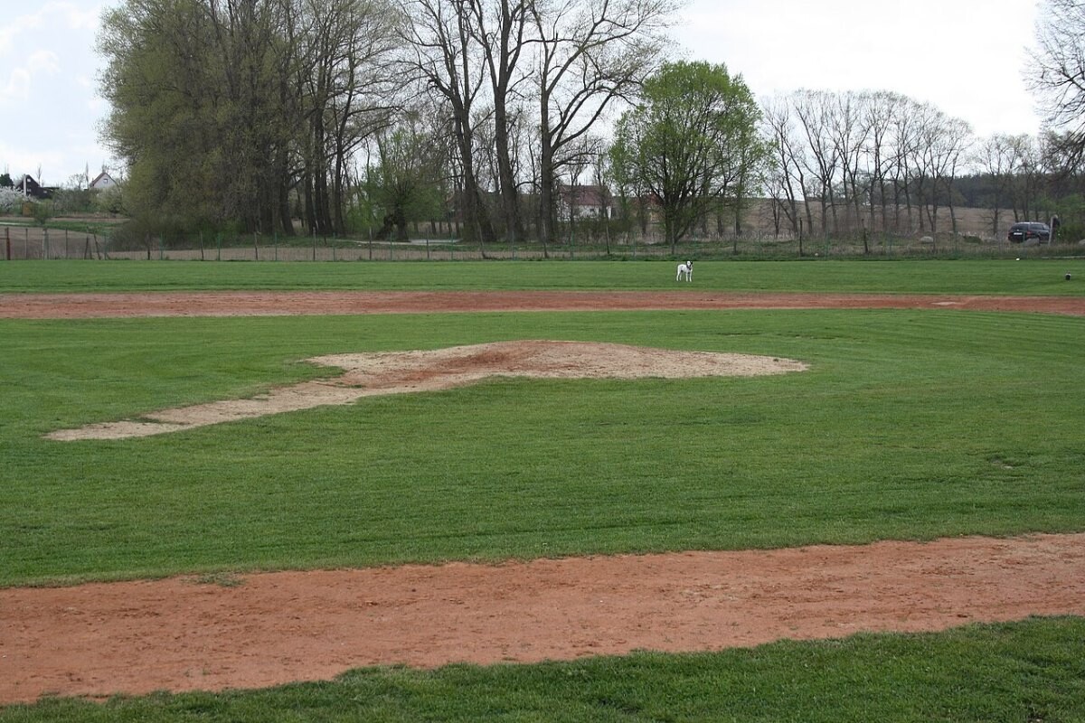 A baseball field and pitcher's mound