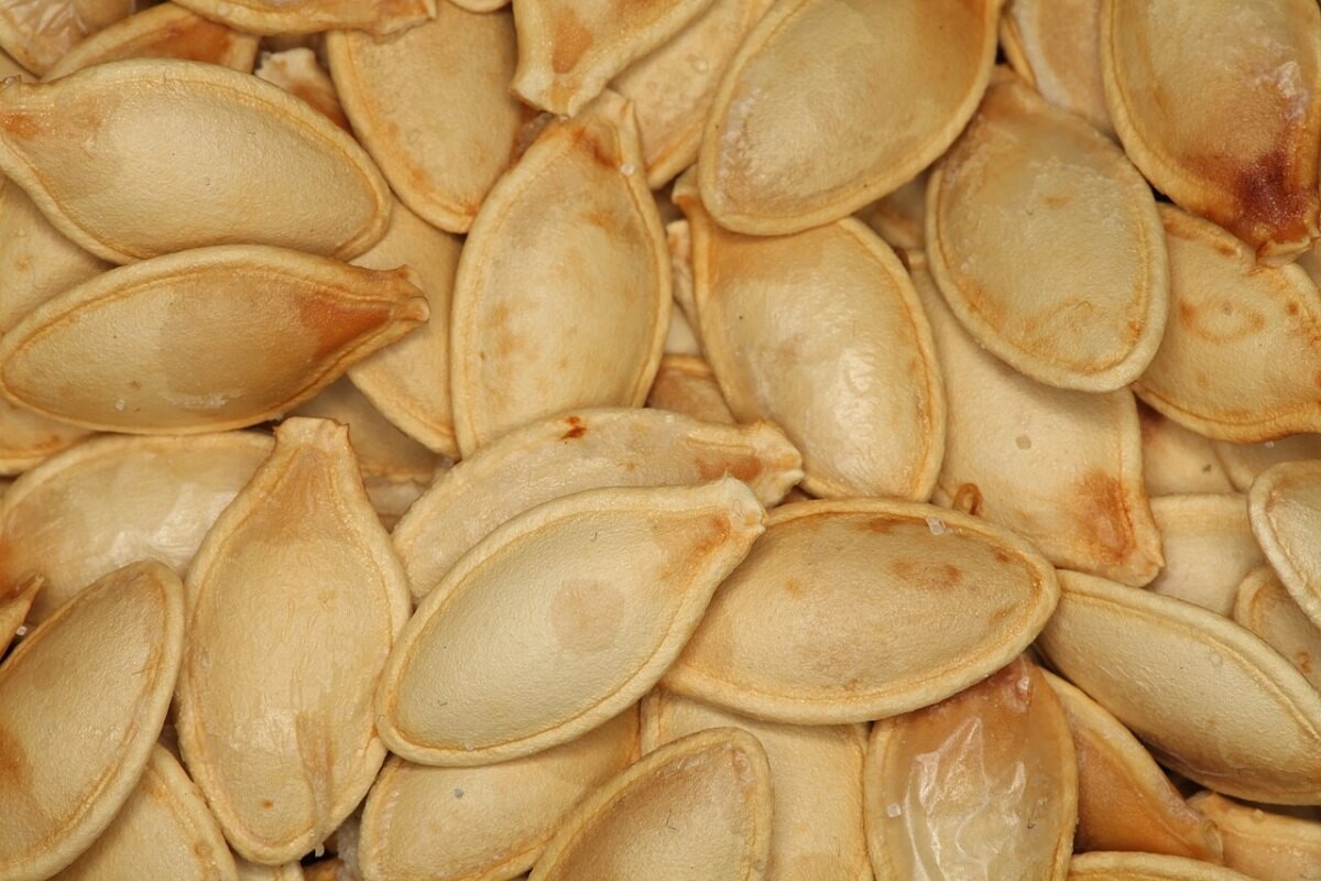 Pumpkin seeds