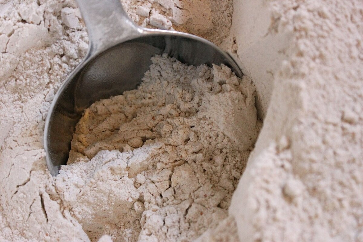 Whole wheat flour being scooped