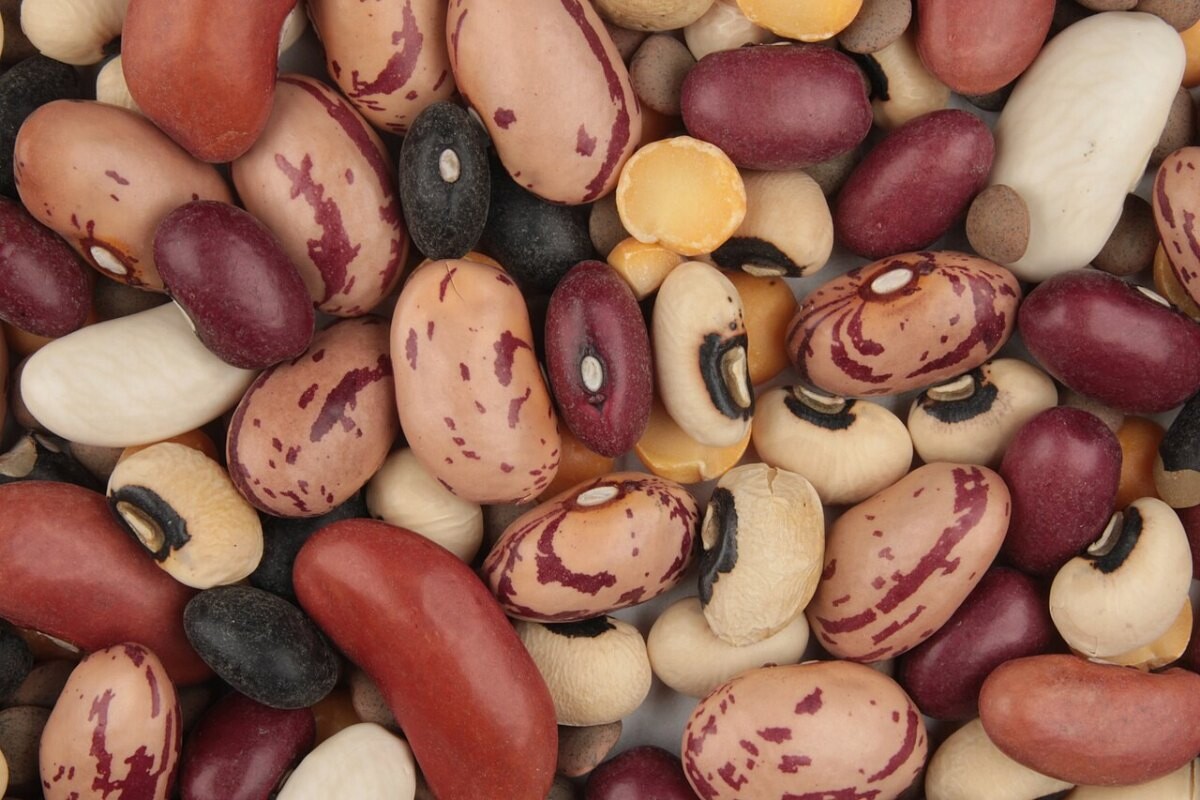 A mixture of dried beans