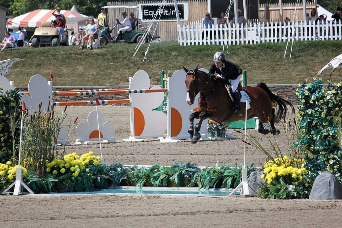 A horse and rider jumping at a horse show in Saugerties, New York