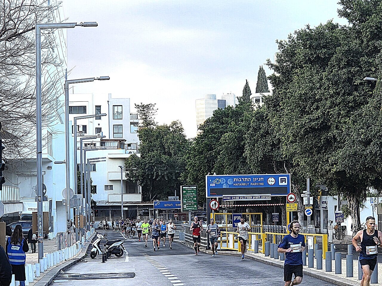 Marathon runners on a tree-lined city street