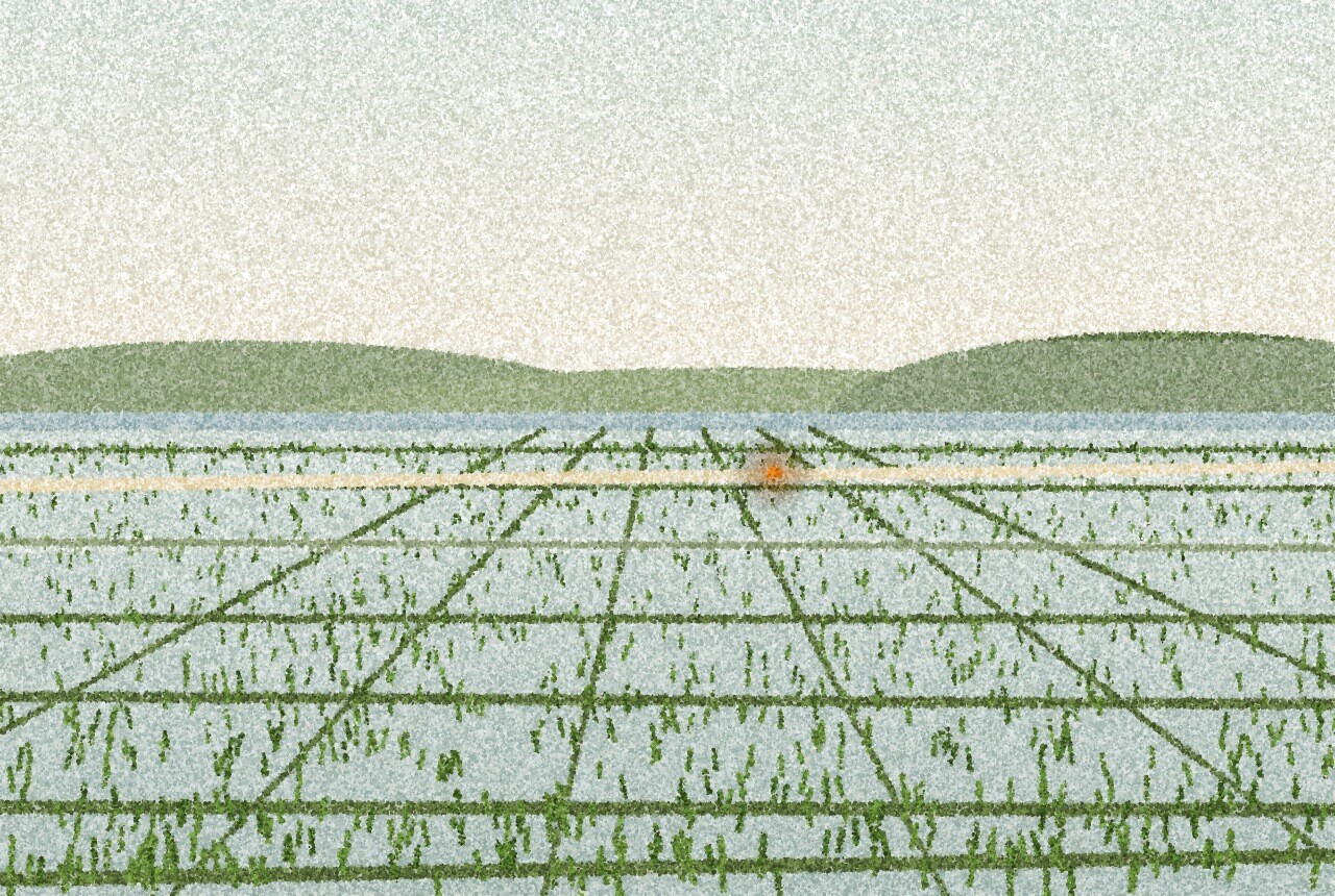 点描画:広く淡い空の下、海沿いの平野に水を張った田んぼが広がり、後ろに低い緑の丘。遠くの小道に琥珀色の点が一つ。