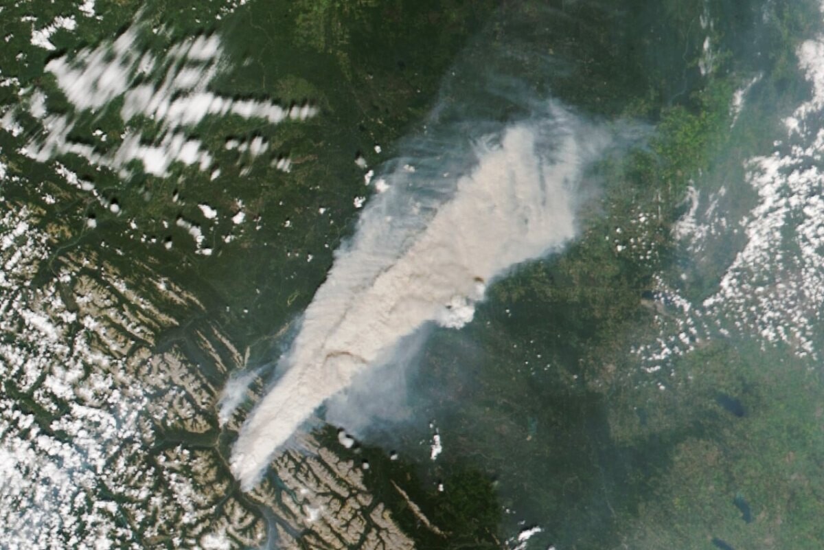 False-colour satellite image of burn scars around the town of Jasper