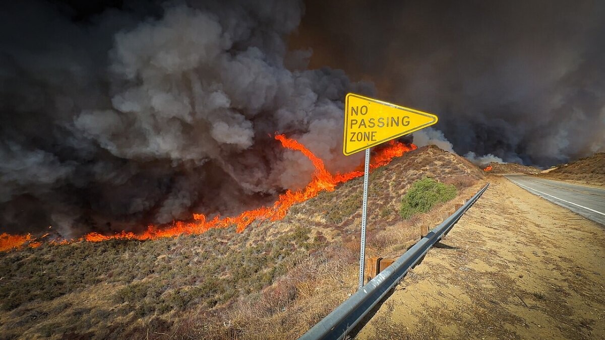 Flames moving through dry hillside brush beside a road sign
